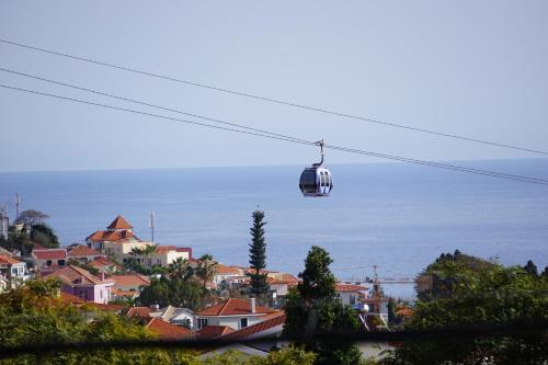 Your Home In Madeira
