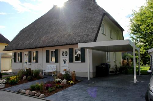 Zaunkönig