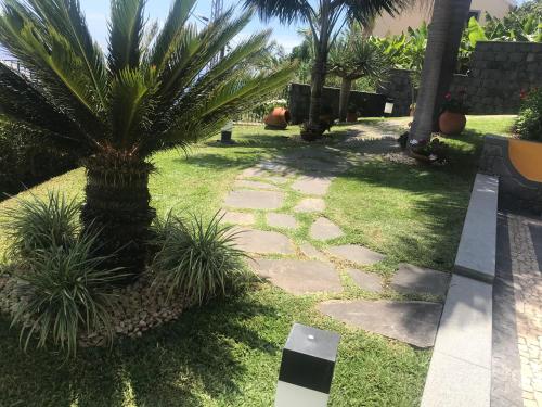 Zeza´s Garden