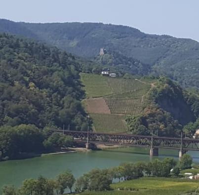 Zur Königslay
