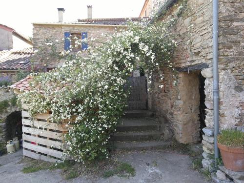 Maison de vacances Maison et rivière Rue de la Roudouniere, 4 Vieussan