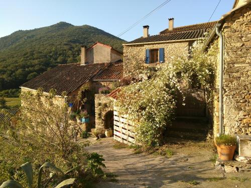 Maison et rivière Vieussan france