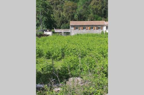 Maison F4 bord de rivière dans un hameau du village de Pruno en Haute Corse Dix min de la plage à Folelli Pruno france