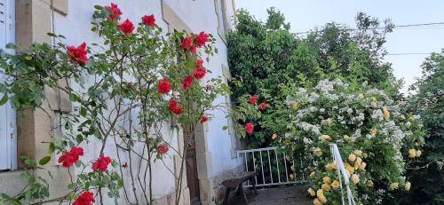 Maison familiale Ronchonnette et mon Repos Rougnat france