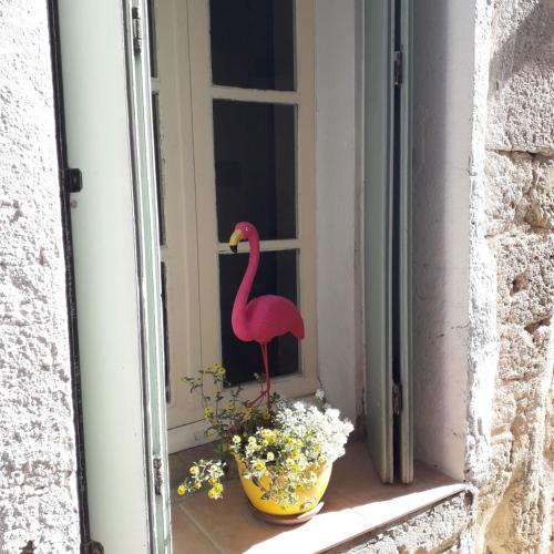 Maison Flamingo Saint-Geniès-de-Fontedit france
