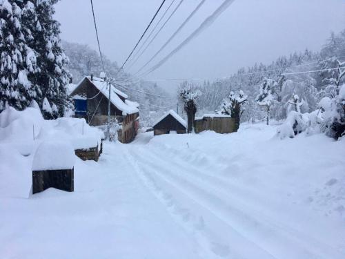 Maison de vacances Maison Gite Rando Ski 6 personnes 8 Chemin de la Grande Verrerie Ribeauvillé