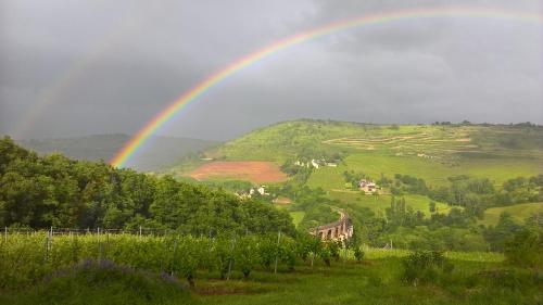 Maison de vacances maison isolée dans les vignes et les bois les crestes.Le Bosc Valady