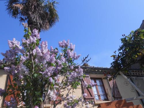 Maison de vacances Maison Palmeral Rue de la Mairie Coustaussa