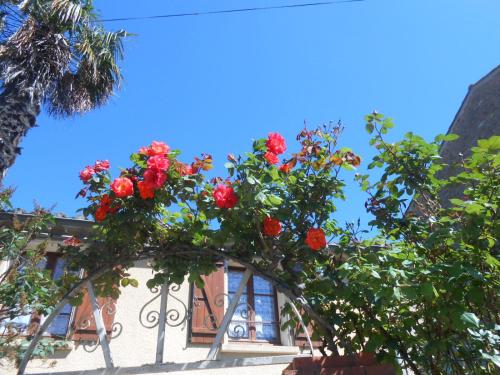 Maison Palmeral Coustaussa france