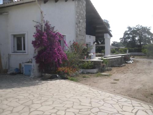 Villa Maison, piscine, havre de paix 168 strada di l'abbatescu Morta