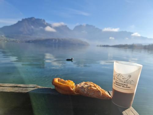 Maison proche du lac d Annecy avec grand jardin Sévrier france