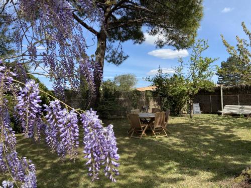 Maison Saint-Palais-sur-Mer, 4 pièces, 6 personnes - FR-1-539-21 Saint-Palais-sur-Mer france