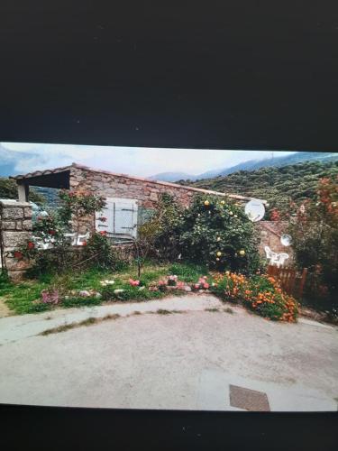 Maison studio avec petit jardin Arbellara france