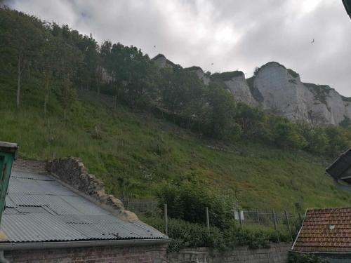 Appartement MAISON TREPORT 31 rue de la Falaise Le Tréport