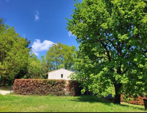 Maisonnette de campagne La Roquebrussanne france