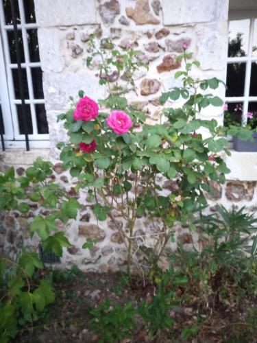 Maison de vacances Maisonnette indépendante au bord du loir La Perine Saint-Christophe