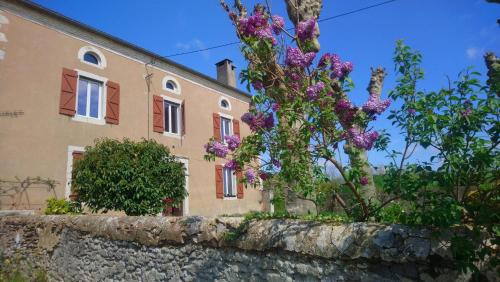 2 Gites 4 étoiles pour 2 à 4 personnes et jusqu'à 10 personnes, entre Béarn, Pays basque et Chalosse
