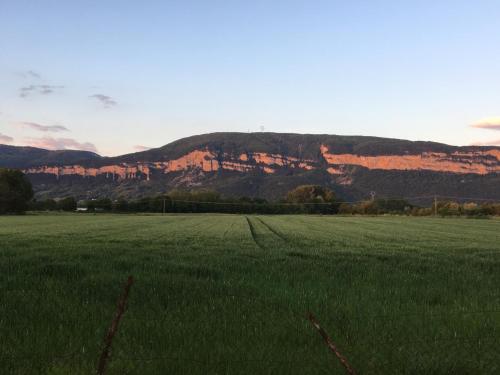 2 Maisons à louer à Montalieu