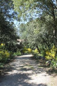 A l'Est d'Uzès