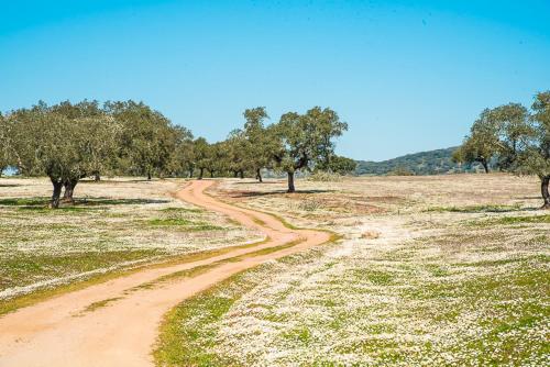 Agro-Turismo Herdade do Carneiro