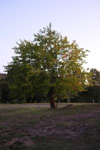 Ardeche - Gites Objectif Evasion