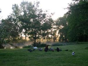 Au Bas Chalonge Gite Le Four à Pain