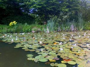 Au Jardin d'Eau