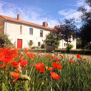 Maisons de vacances Au repos des elfes La Prouterie 37120 Braye-sous-Faye Région Centre