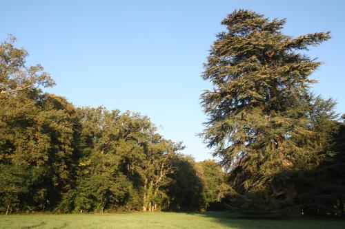 Aux Grilles Du Château