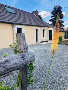 Maisons de vacances Aux Jardins De La Guyonnière Gîte 2 à 13 personnes Chemin de la Guyonnière 72230 Ruaudin Pays de la Loire