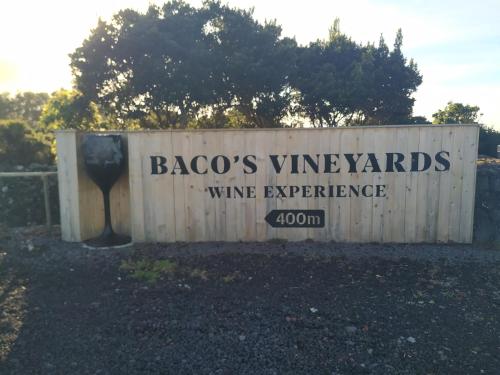 Baco's Vineyard