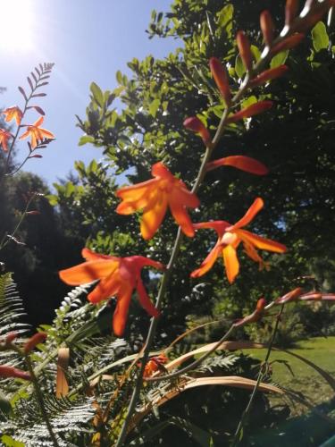 Bamboo & Spa