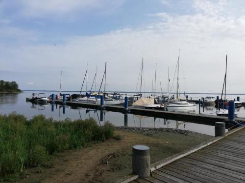 Blockhäuser an der Müritz