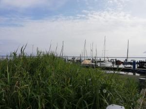 Blockhäuser an der Müritz