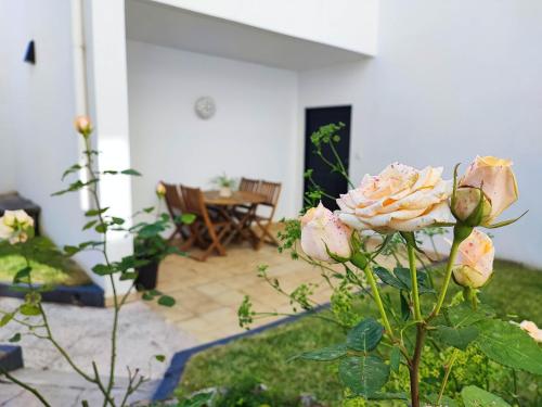 Casa Mar Afife