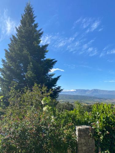 Casas de campo em cerejal