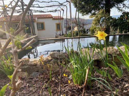 Casas de campo em cerejal