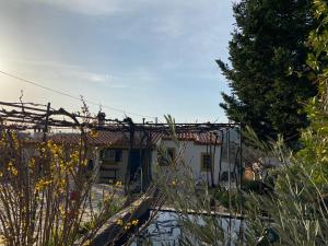Casas de campo em cerejal
