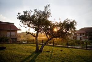 Maisons de vacances Casas de Vale de Lobo Rua dos Olmos s/n, Vale de Lobo 5000-102 Mirandela Région Nord