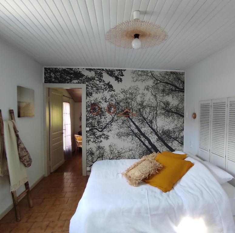 Casas do Bau