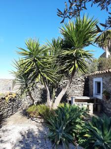 Casas Letizia e Sebastião
