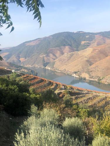 Castas do Douro