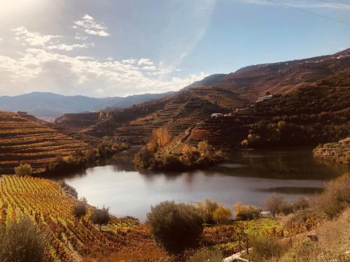 Castas do Douro
