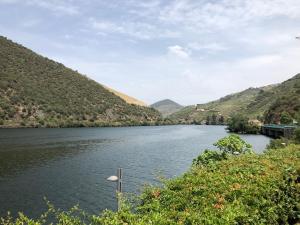 Castas do Douro