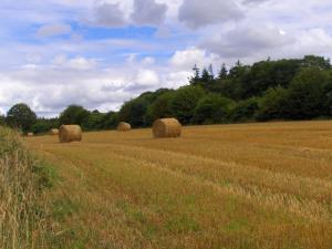 Maisons de vacances Caurelgranges Les Granges 22530 Caurel Bretagne