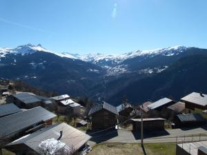 Maisons de vacances Chalet de la Yodine Chef-Lieu 73350 Feissons-sur-Salins Rhône-Alpes