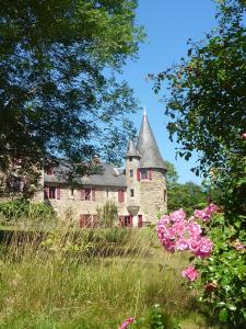 Maisons de vacances Chateau de Bellefond Chateau de Bellefond, 4 Allee du Chateau de Bellefond 19700 Lagraulière Limousin