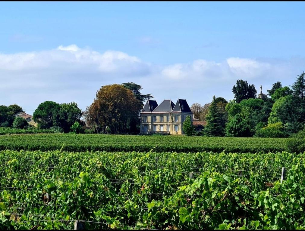 Chateau Tanesse de Tourny 6 route de la mairie, 33710 La Reuille