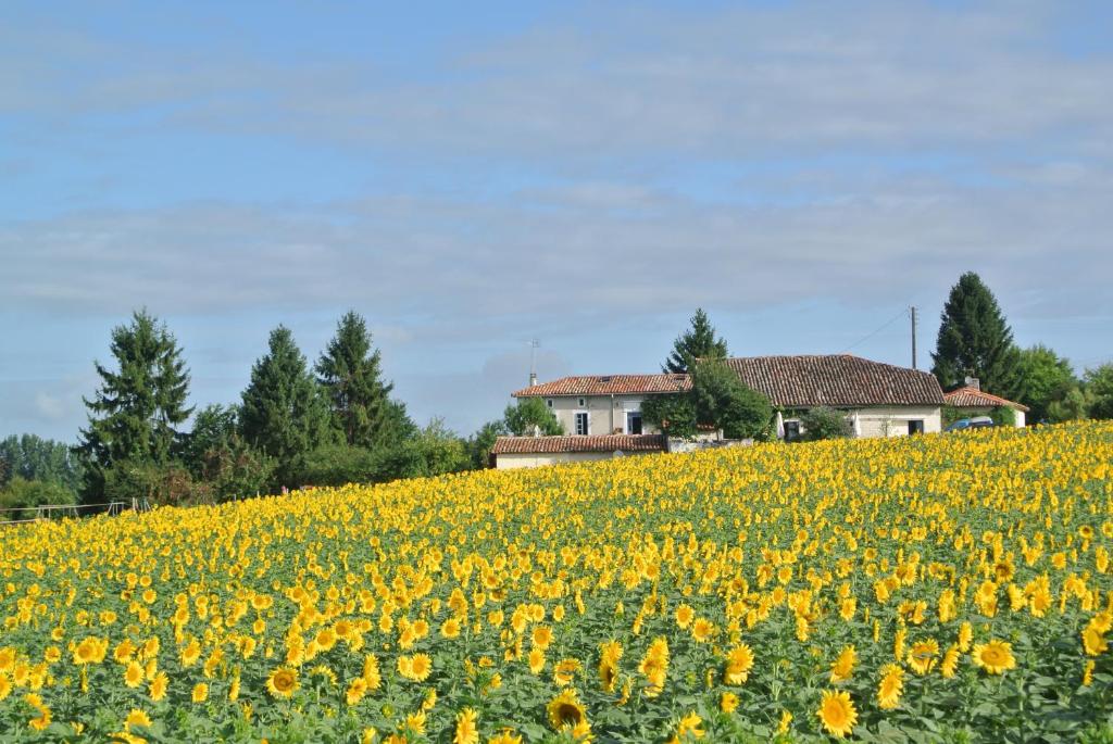 Maisons de vacances Chez Sarrazin Chez Sarrazin 16480 Brossac