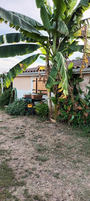 Demeure d'hôtes et Mas Maurice 84580 Oppède
